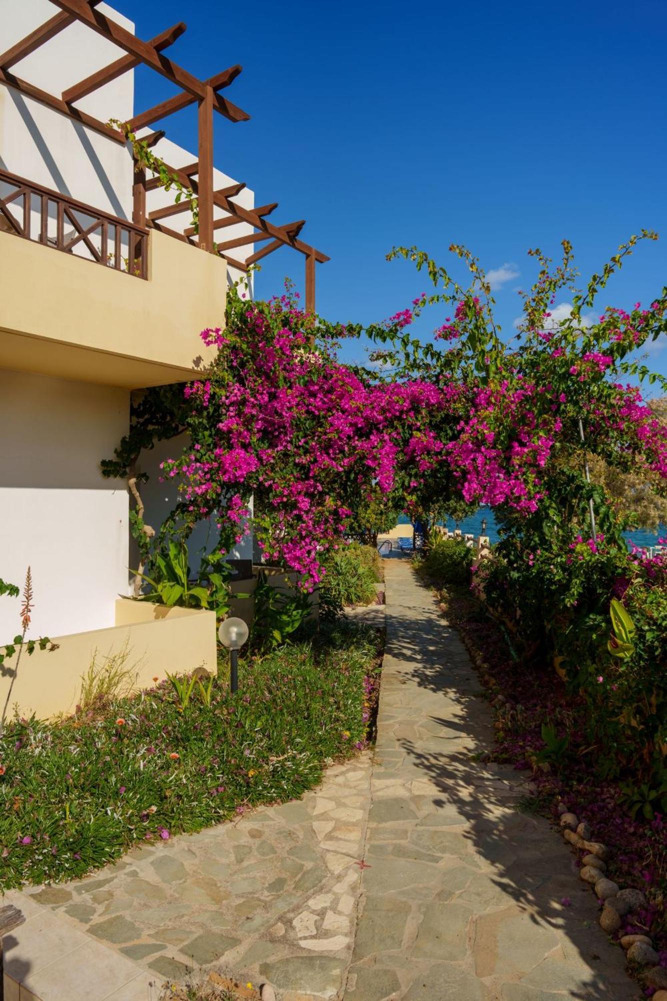 Dedalos Hotel 3*