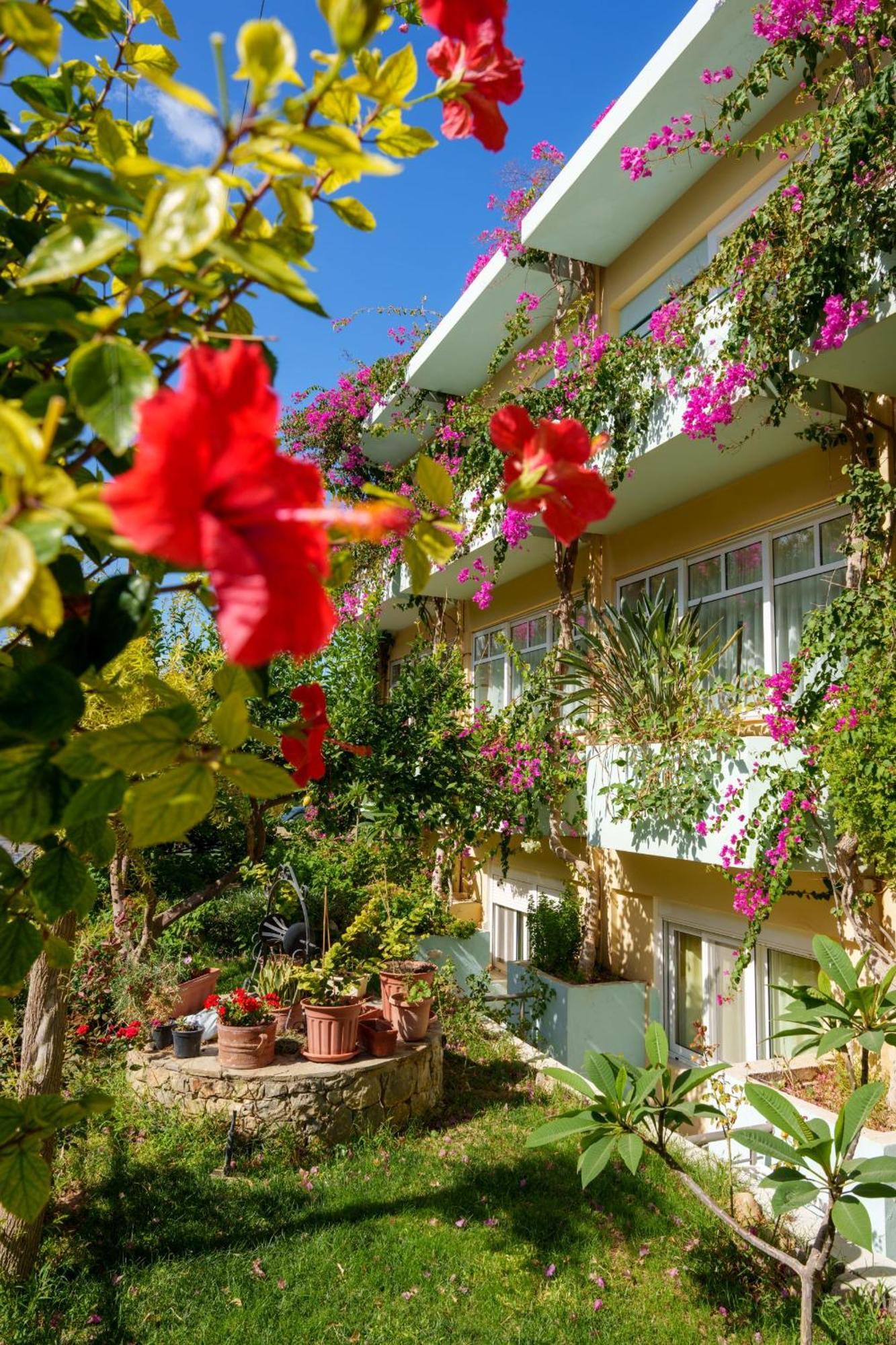 Hotel Dedalos Sfáka