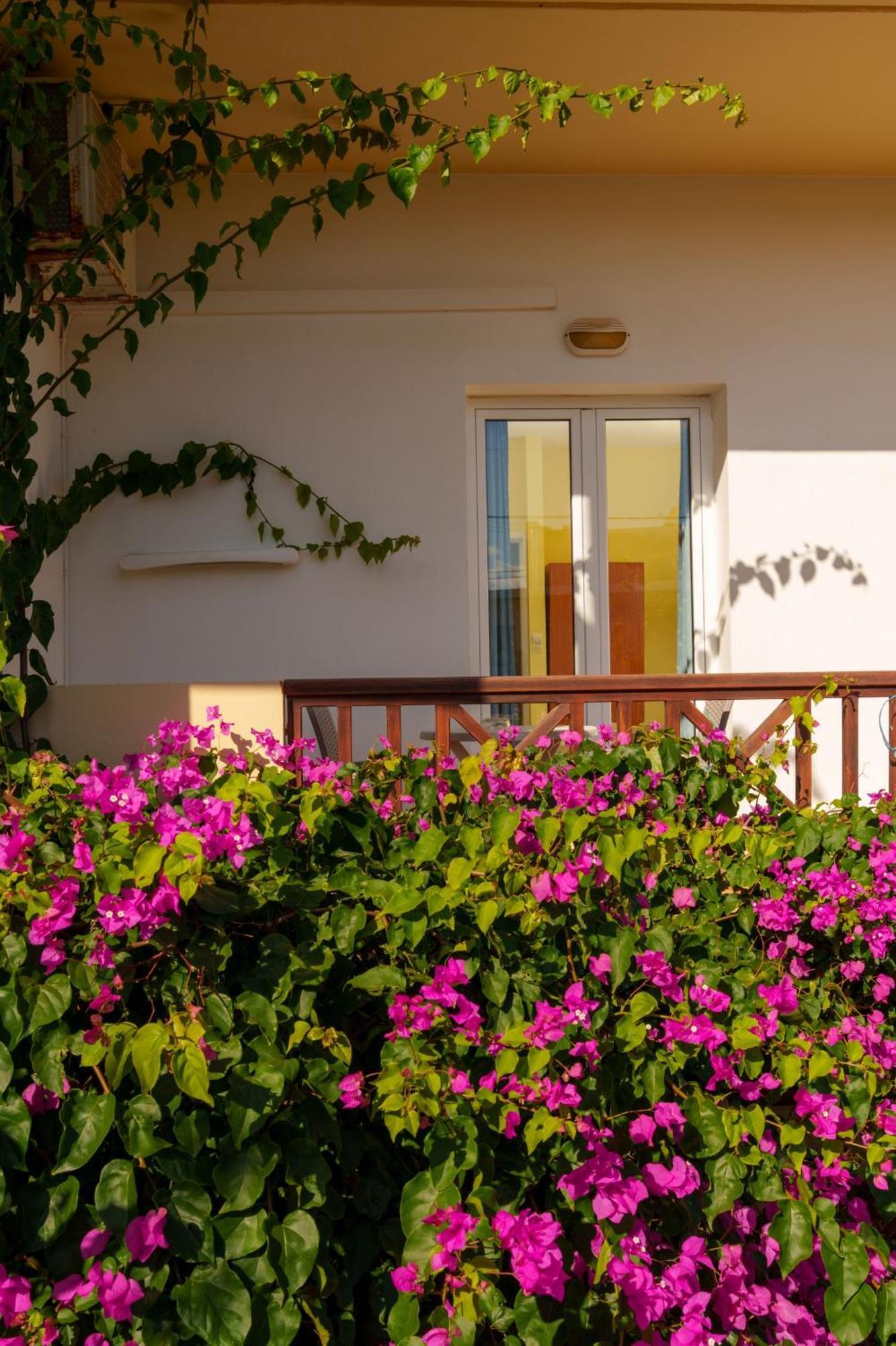 Hotel Dedalos